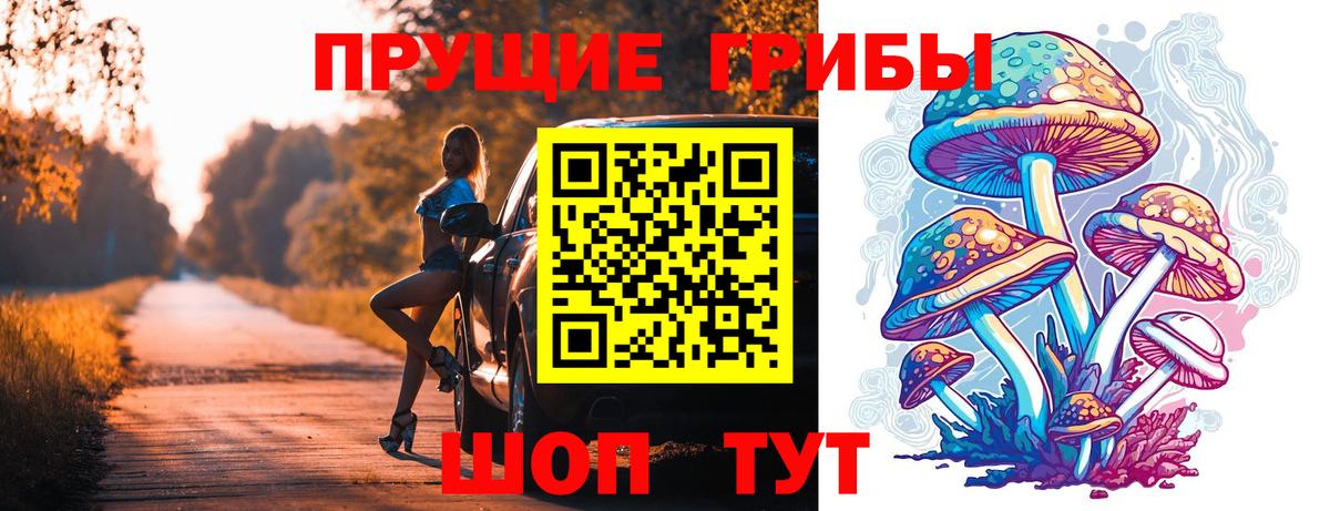 Батайск  Галлюциногенные грибы прущие грибы  Галлюциногенные грибы Psilocybine cubensis  Вход с VPN 