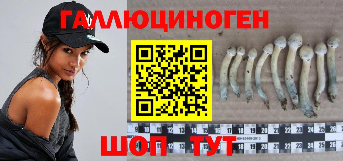 Галлюциногенные грибы GOLDEN TEACHER Батайск
